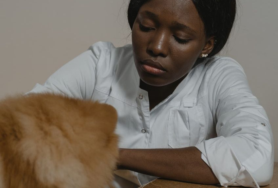 North East Animal Laser Solutions