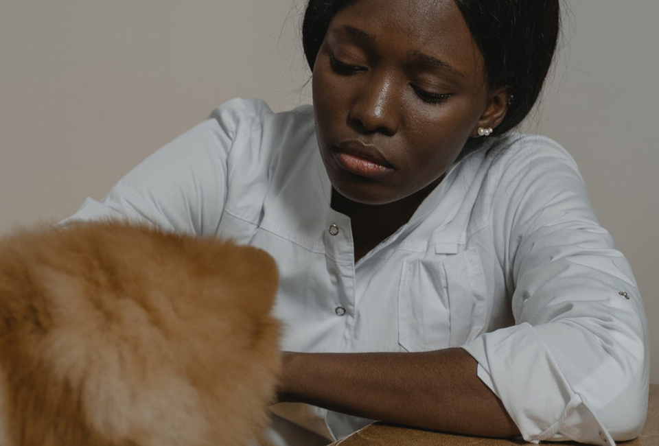 The Pet Relief Laser Clinic