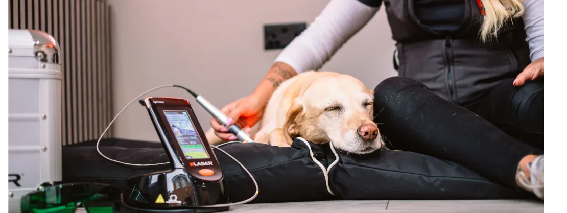 k-laser joint pain arthritis