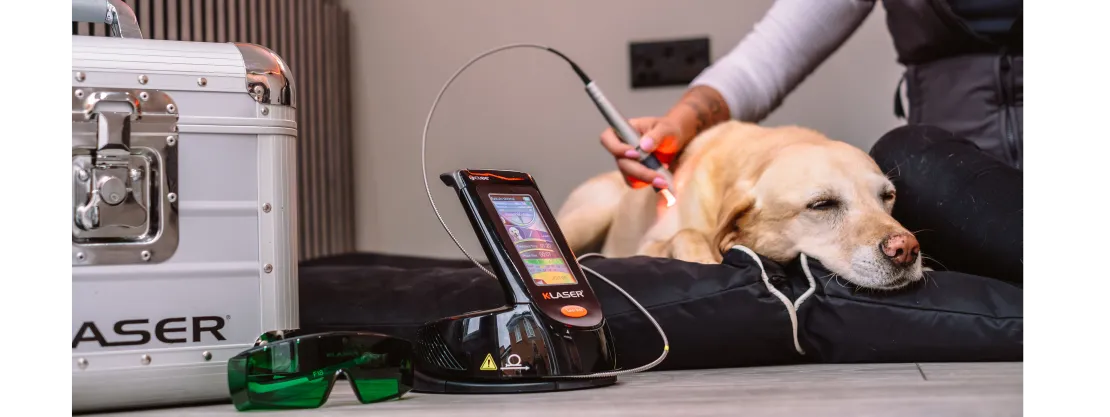 The Pet Relief Laser Clinic