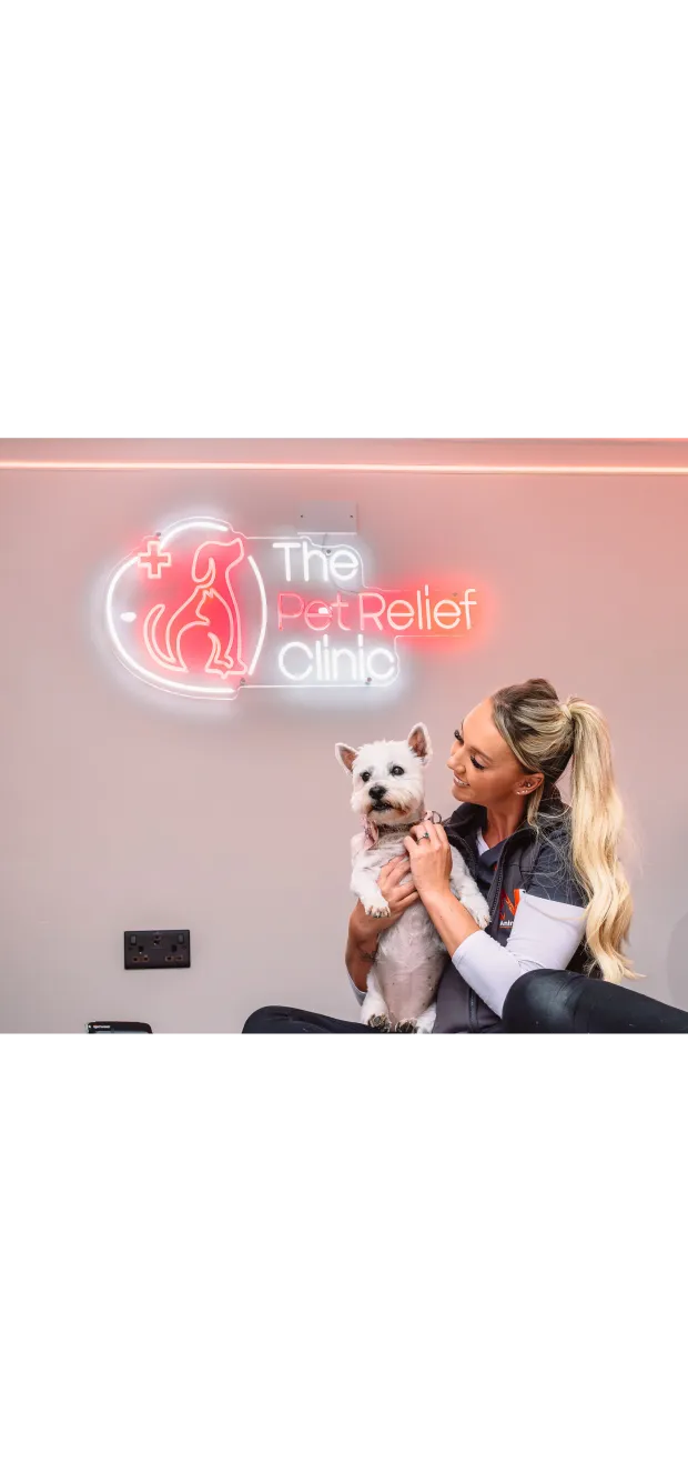 tilly pet relief clinic