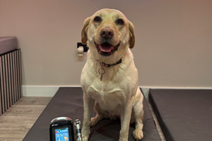 The Pet Relief Laser Clinic