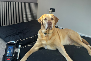 The Pet Relief Laser Clinic