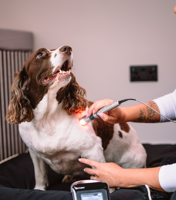 Layla laser therapy