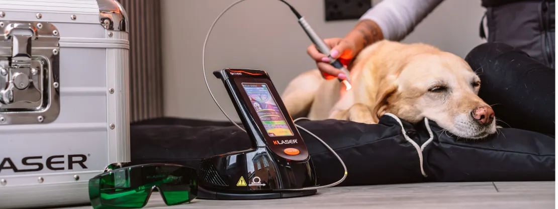 The Pet Relief Laser Clinic