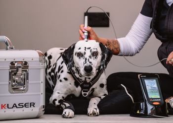 The Pet Relief Laser Clinic